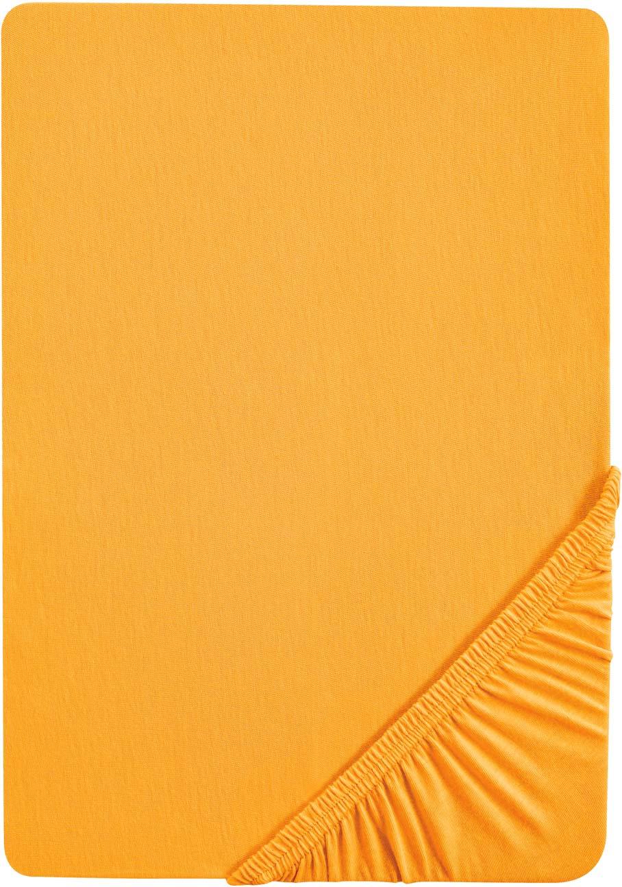 biberna Baumwoll Spannbetttuch 90-100x190-200cm